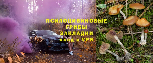 тгк Алзамай