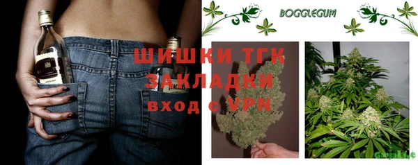 тгк Алзамай