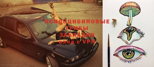 тгк Алзамай
