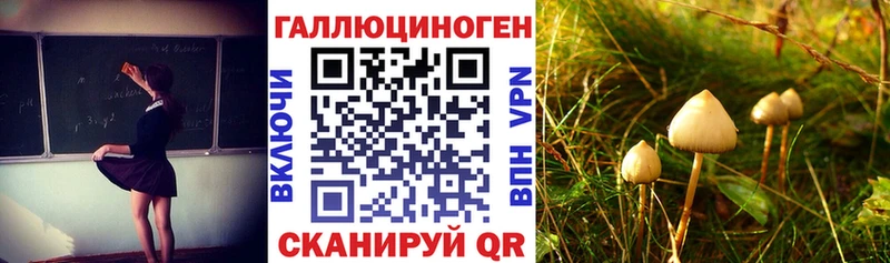 Галлюциногенные грибы Cubensis  ссылка на мегу tor  Боровичи 