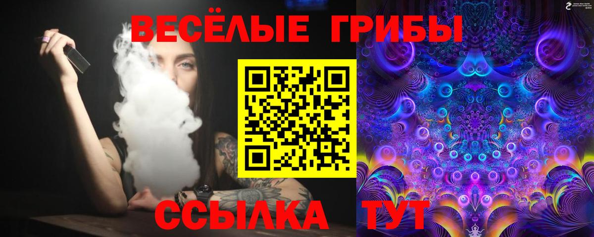 Псилоцибиновые грибы Cubensis Боровичи