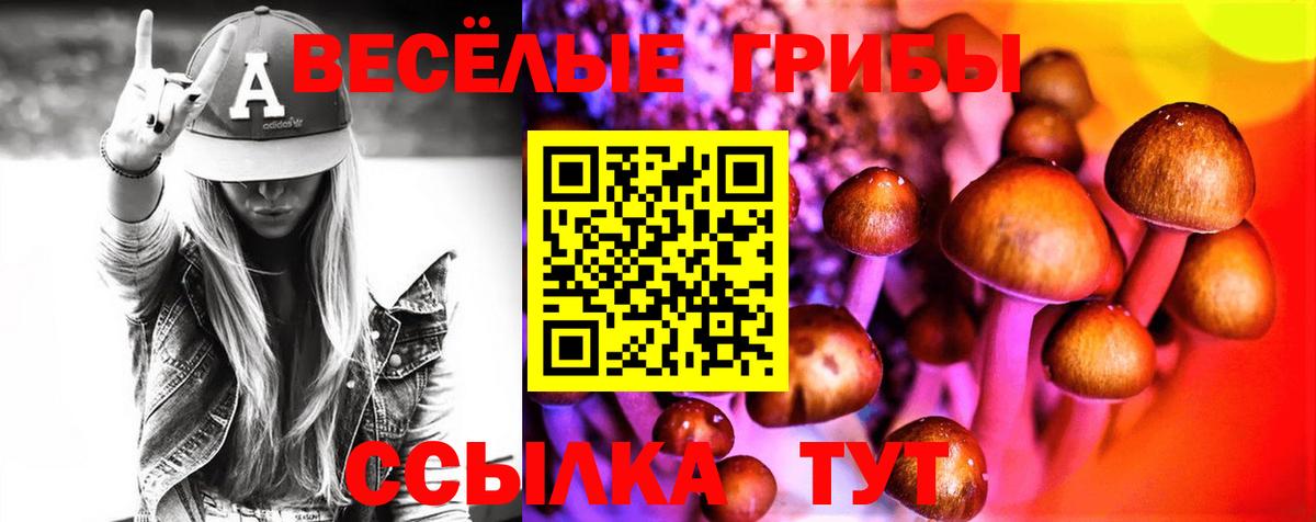Галлюциногенные грибы GOLDEN TEACHER  Вход с VPN  Галлюциногенные грибы MAGIC MUSHROOMS  Боровичи 